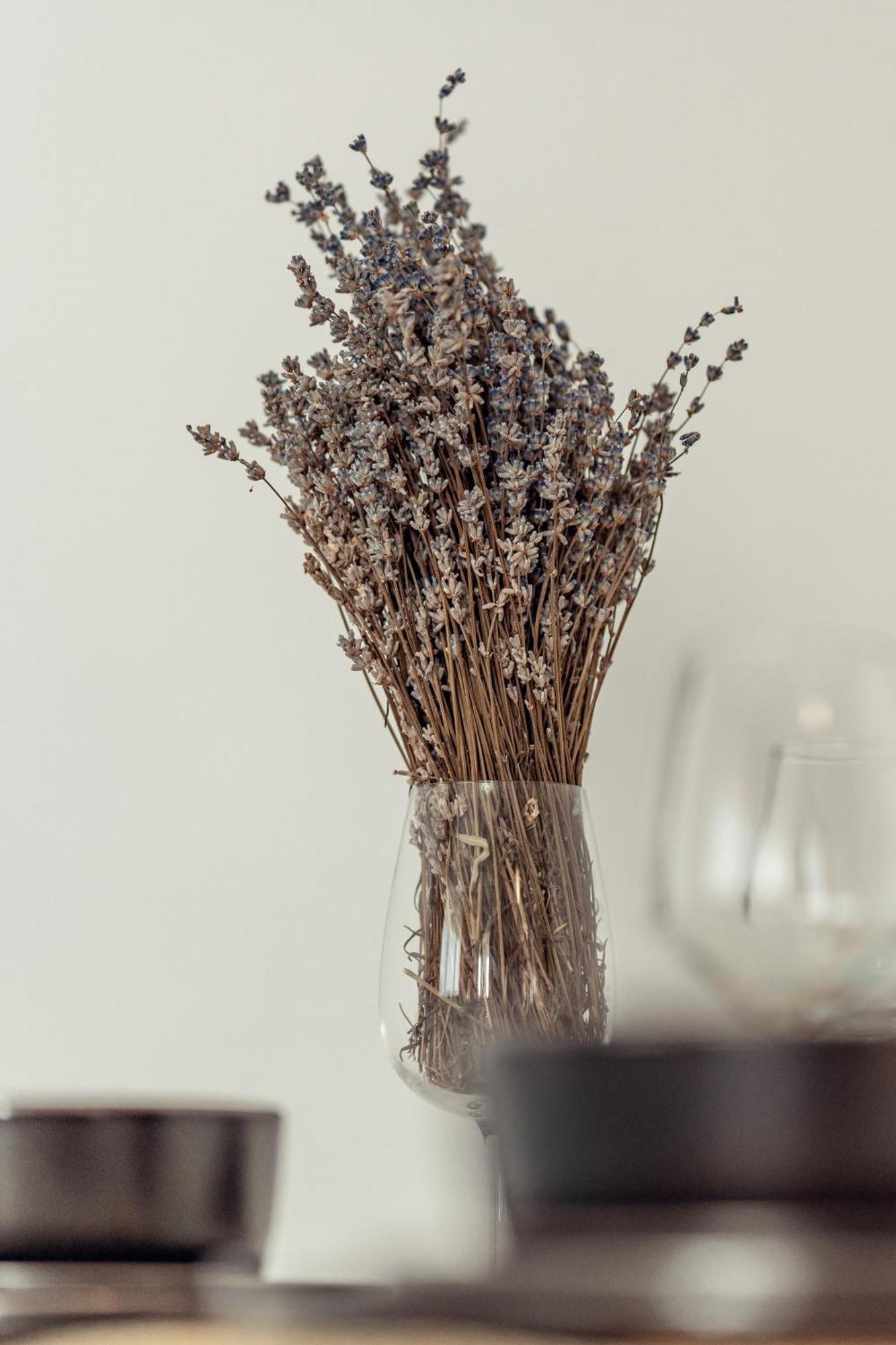 Appartement Cozy Collection At Mall Iasi